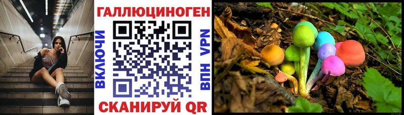 Галлюциногенные грибы MAGIC MUSHROOMS  Купить где  Курчалой 